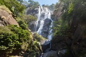 Udzungwa Mountains
