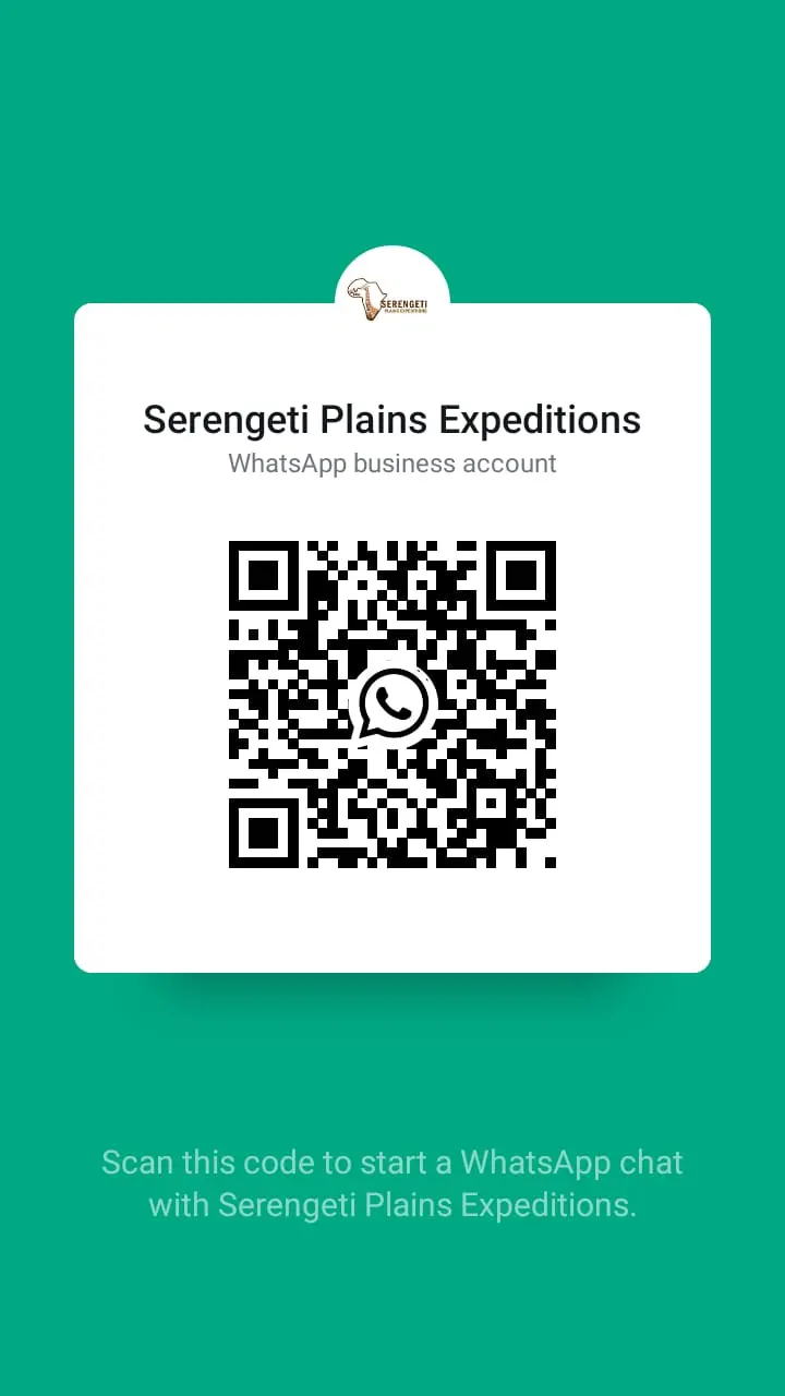 WhatsApp QR Code